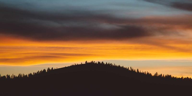 思想流动的力量：企业如何构建隐性知识交流网络，激发深度思考与创新